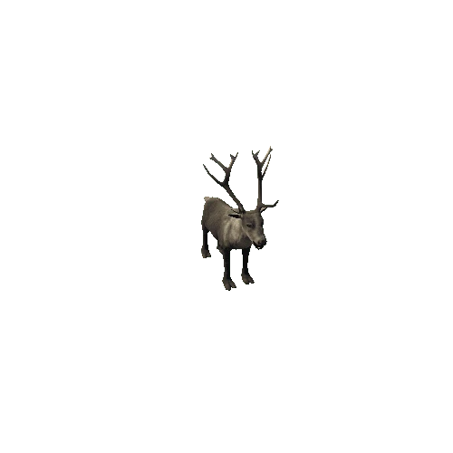 Reindeer_IP_FV_LP (Fur3)